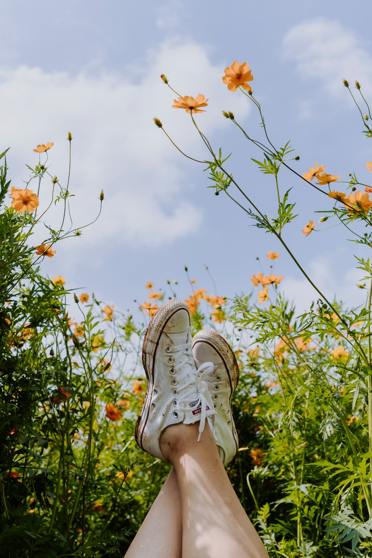 Person's Feet in Shoes against the Flower Field